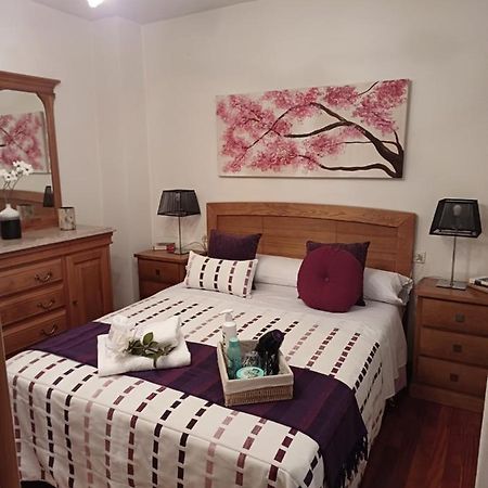 Apartamento Penedo, Camino Portugus-Con Plaza De Garaje Gratis Santiago de Compostela Dış mekan fotoğraf