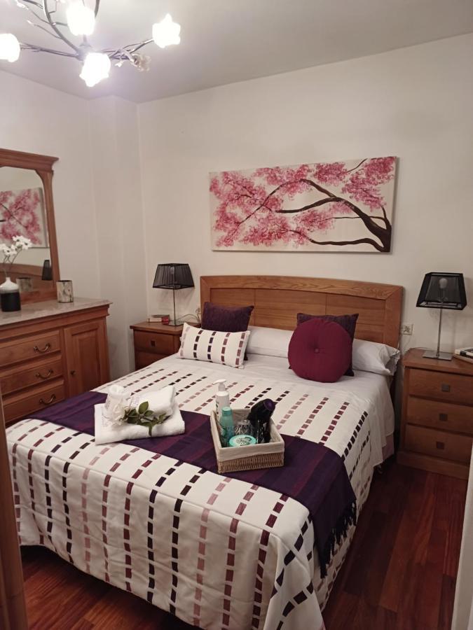 Apartamento Penedo, Camino Portugus-Con Plaza De Garaje Gratis Santiago de Compostela Dış mekan fotoğraf